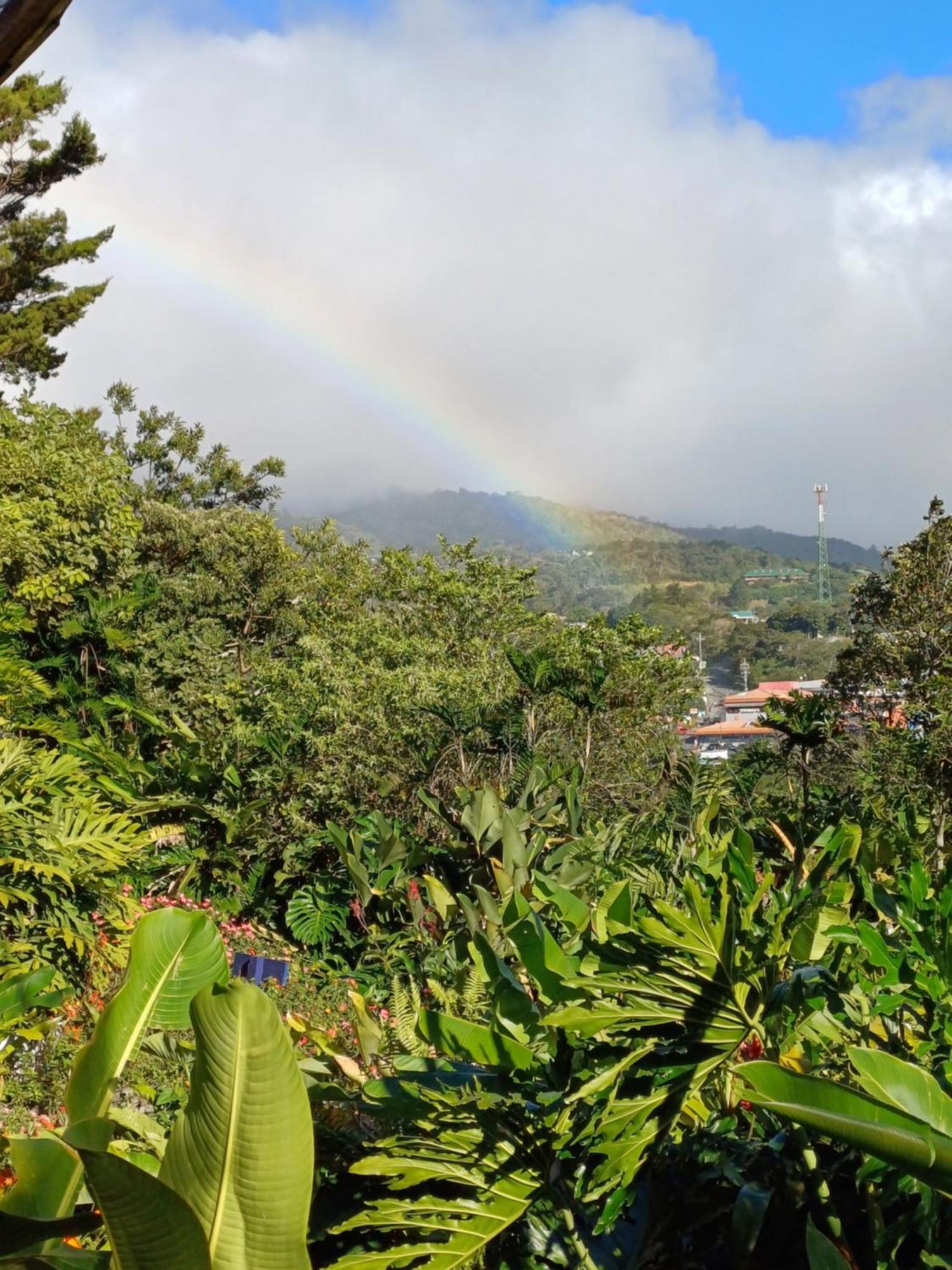 Hotel Claro De Luna Monteverde Екстериор снимка