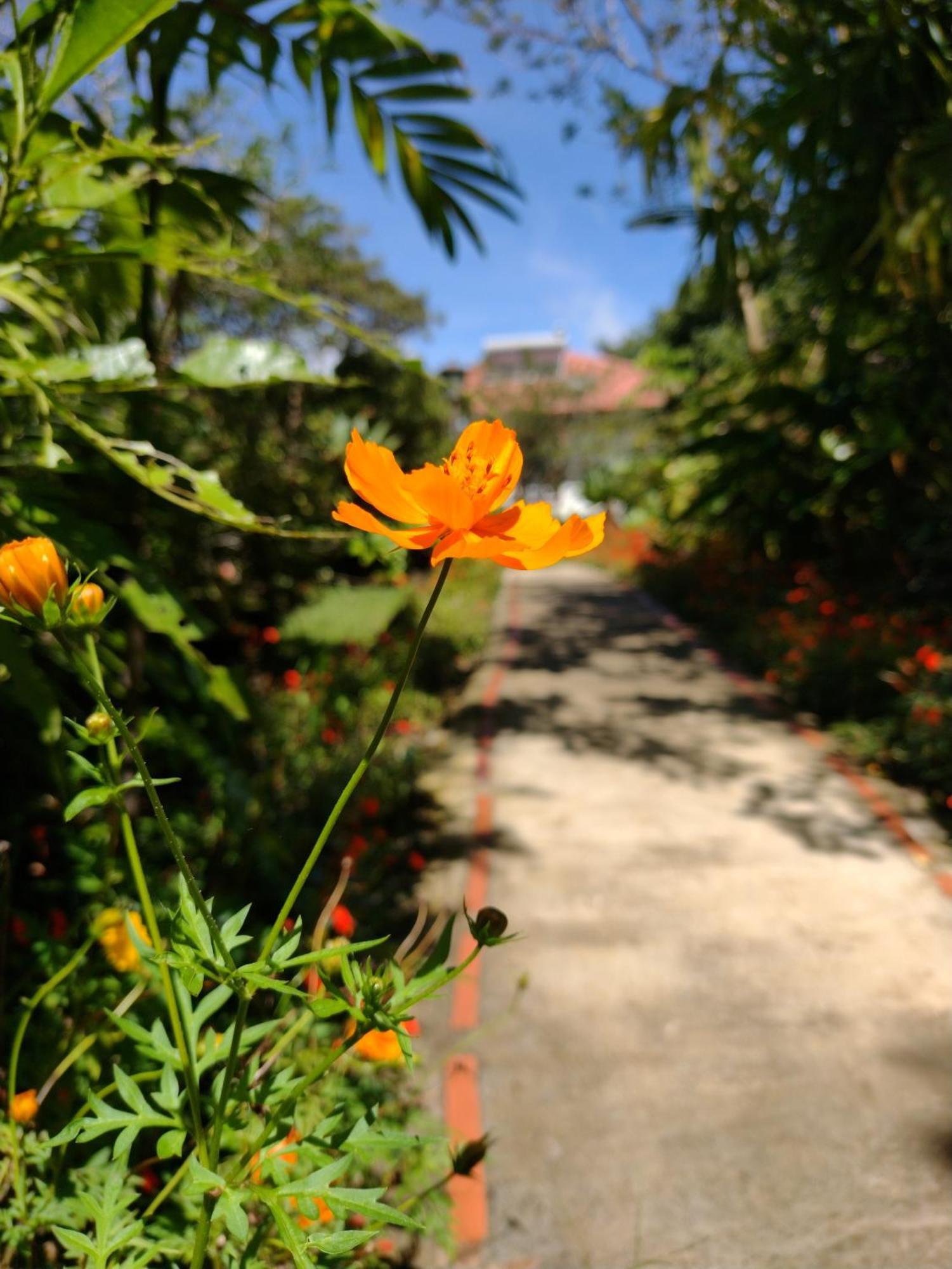 Hotel Claro De Luna Monteverde Екстериор снимка