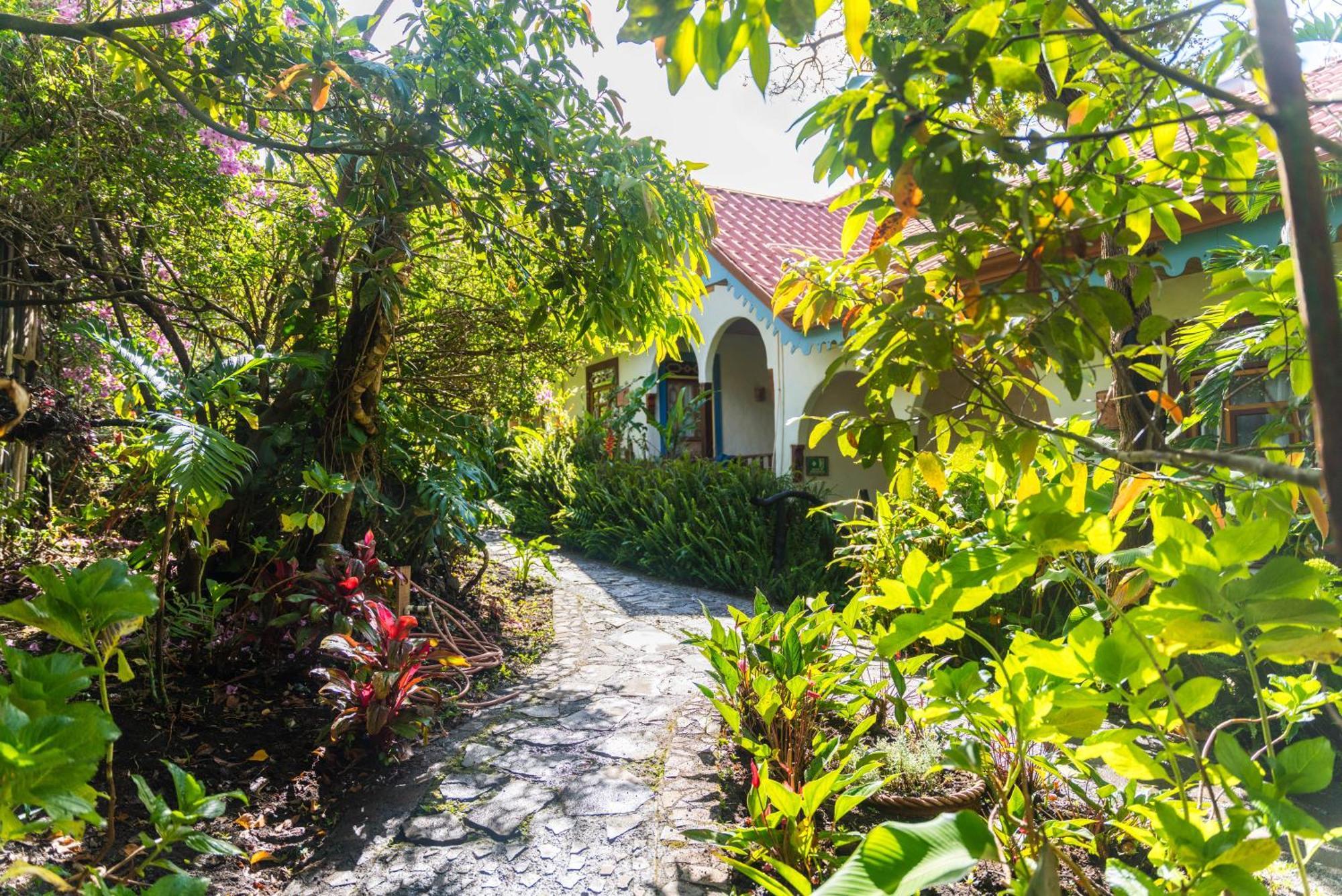 Hotel Claro De Luna Monteverde Екстериор снимка