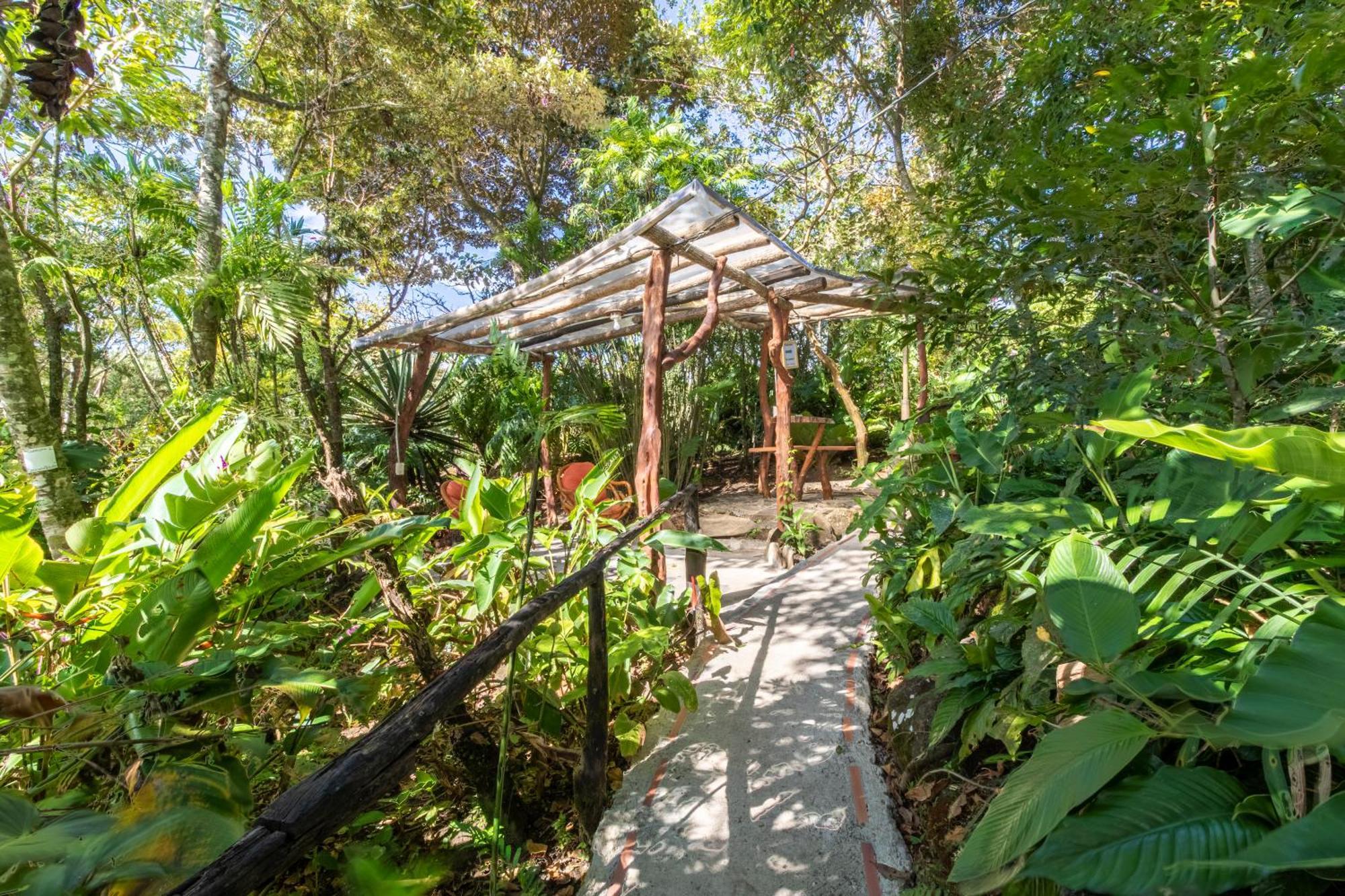 Hotel Claro De Luna Monteverde Екстериор снимка