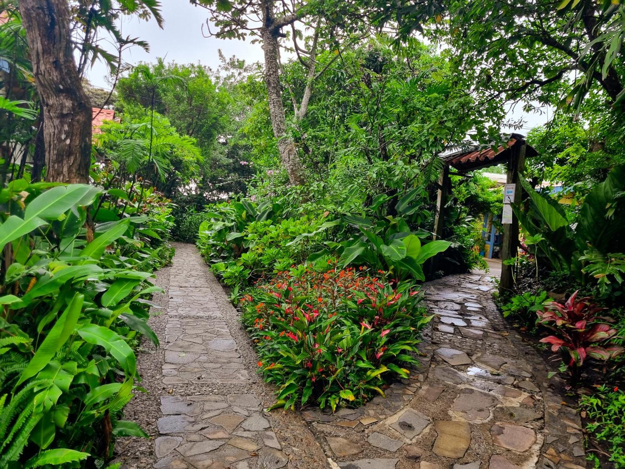 Hotel Claro De Luna Monteverde Екстериор снимка