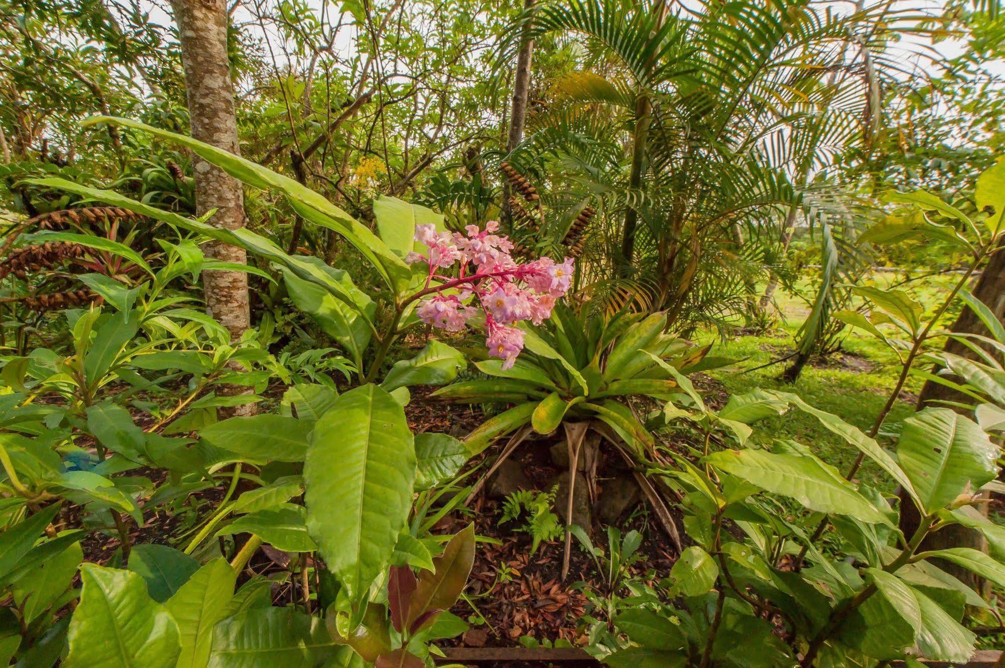 Hotel Claro De Luna Monteverde Екстериор снимка